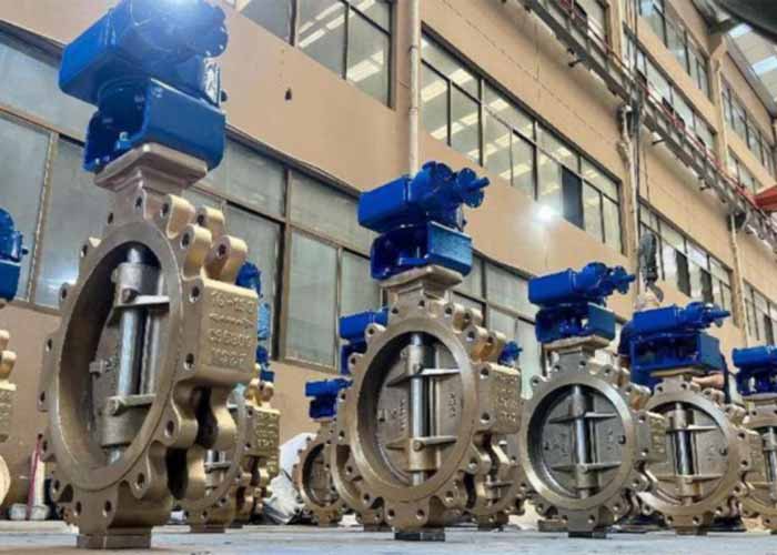 Triple Offset Metal Butterfly Valve
