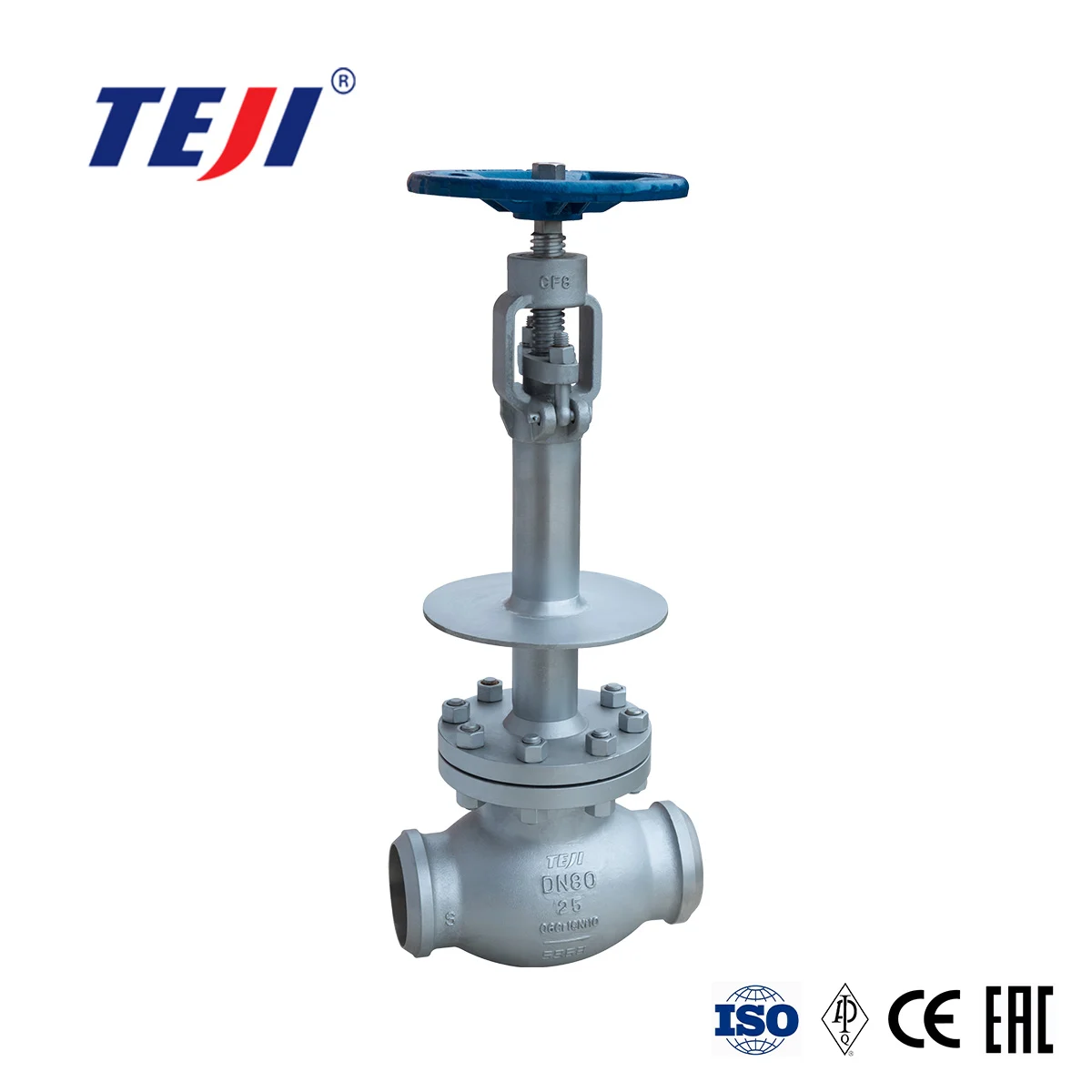 Casted Cryogenic Globe Valve