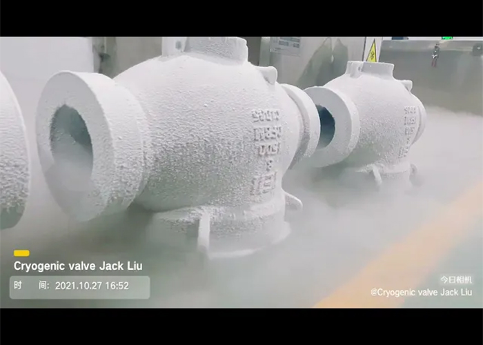 lb top entry ball valve Cryogenic Treatment