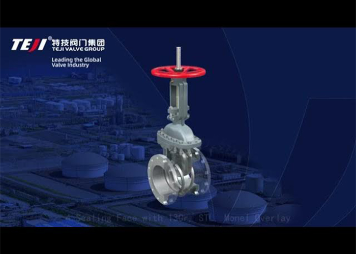 ASME Gate Valve