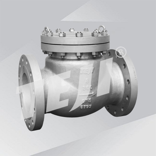 Cast Steel Cryogenic Check Valve