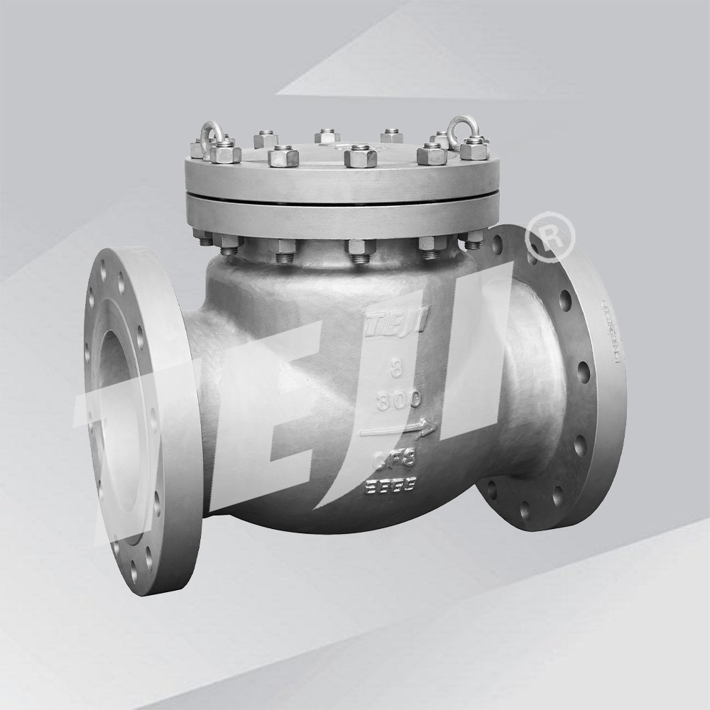 Cast Steel Cryogenic Check Valve