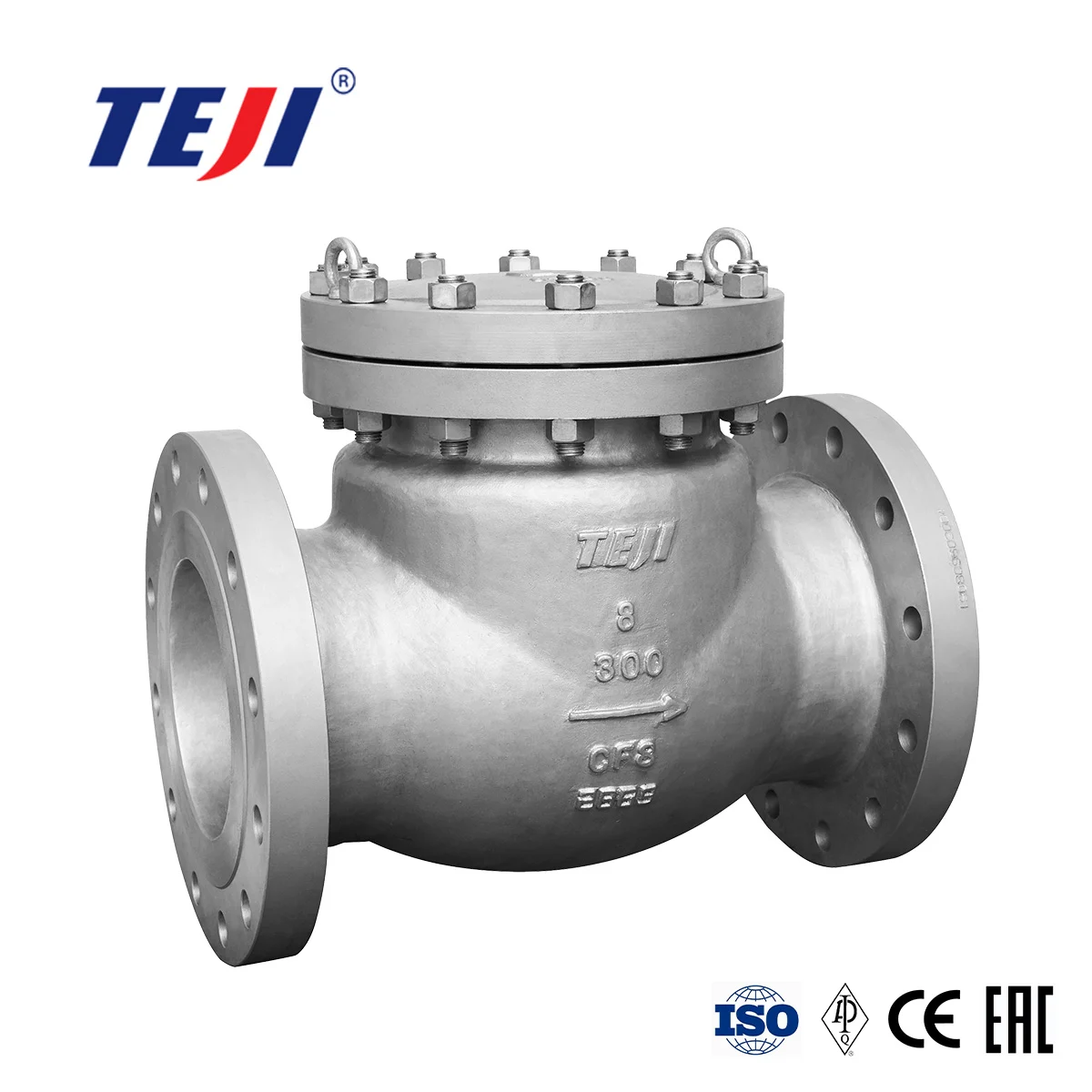 Casted Cryogenic Check Valve