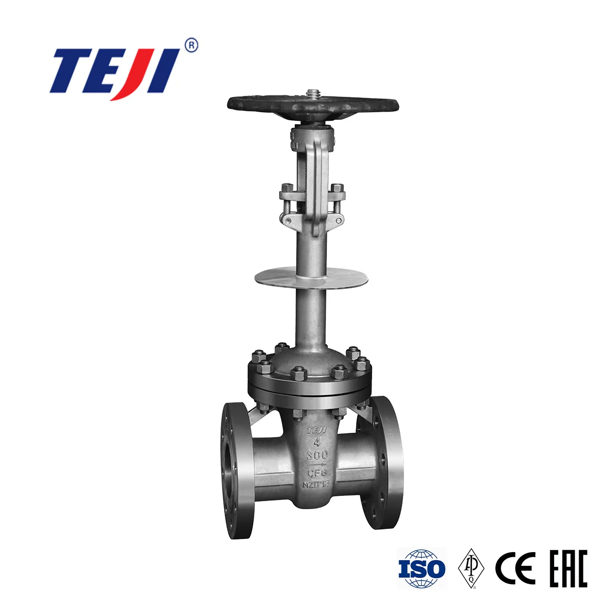 Casted Cryogenic Gate Valve