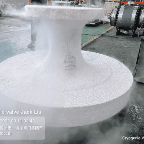 Cryogenic Top Entry Ball Valve