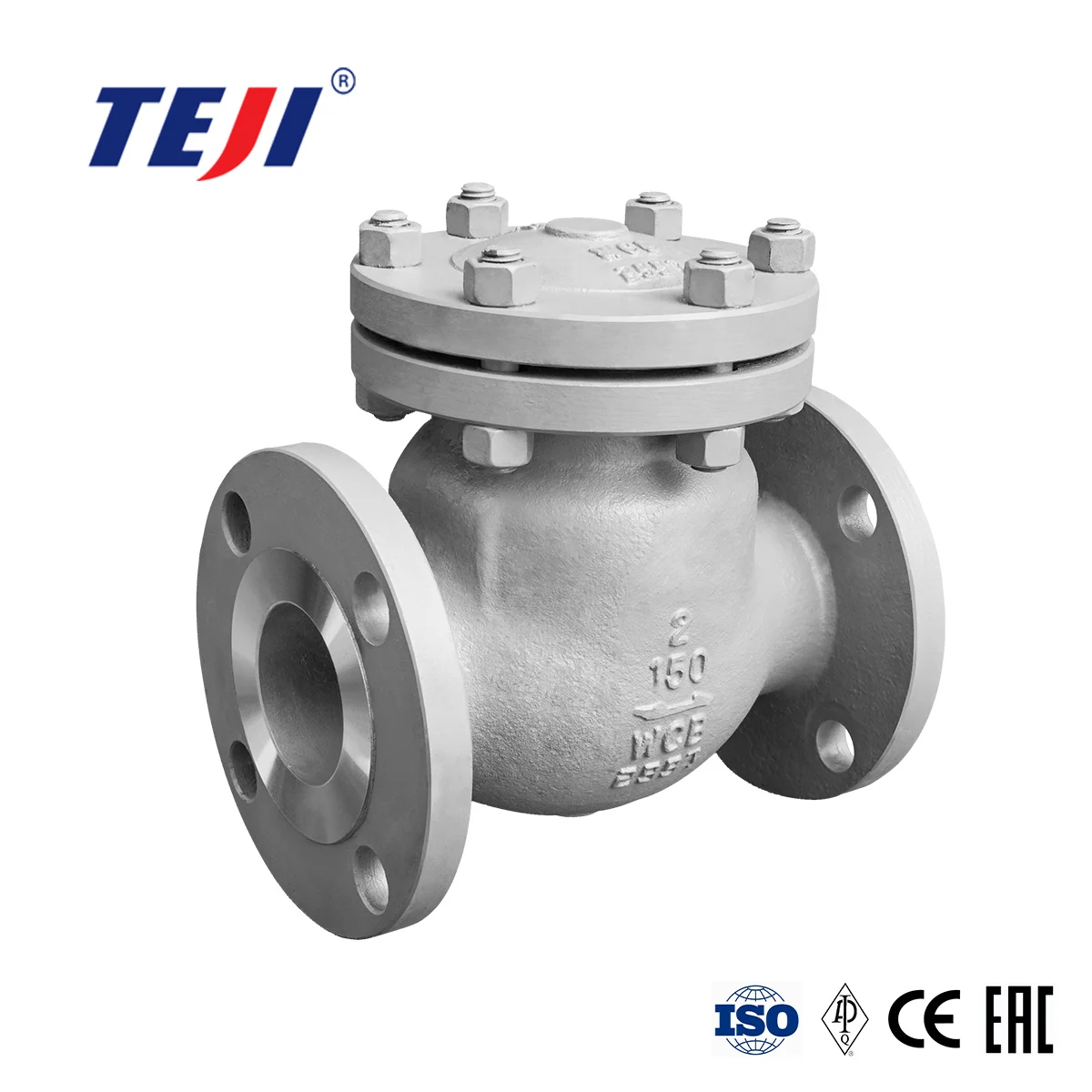 Swing Check Valve