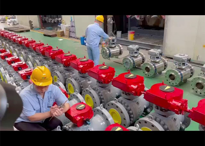 TEJI Cast Steel Ball Valves