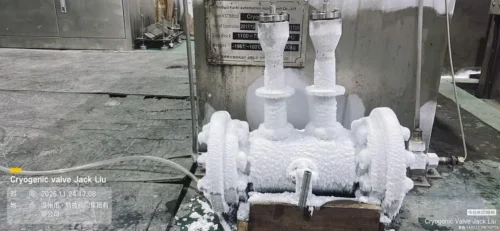 Cryogenic Double Block & Bleed Ball Valves desc