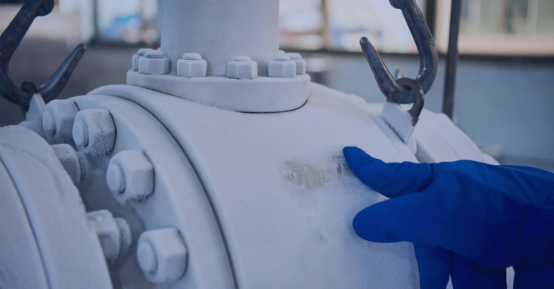 teji banner Cryogenic Valves