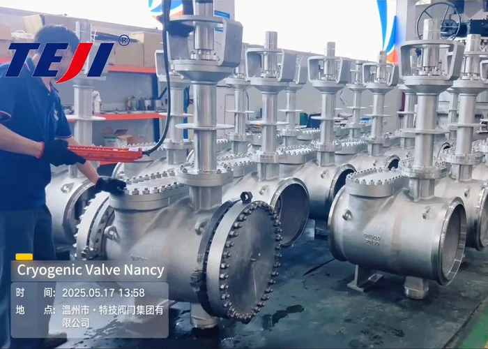 TEJI VALVE GRUOP Cryogenic Valve Nancy