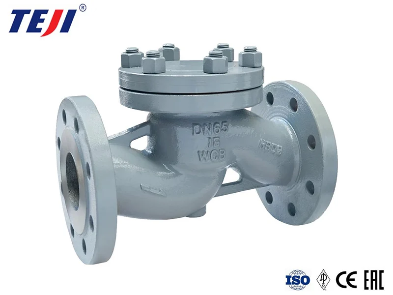 check valve