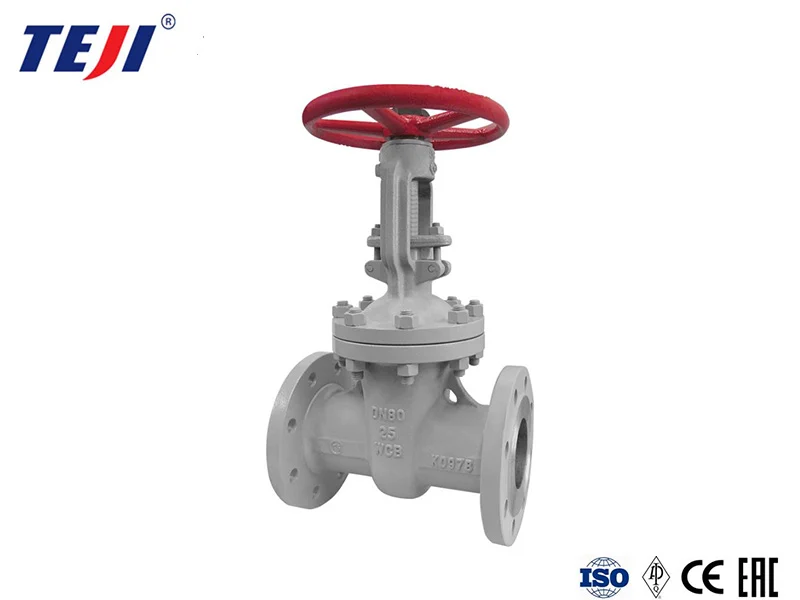 gate valve