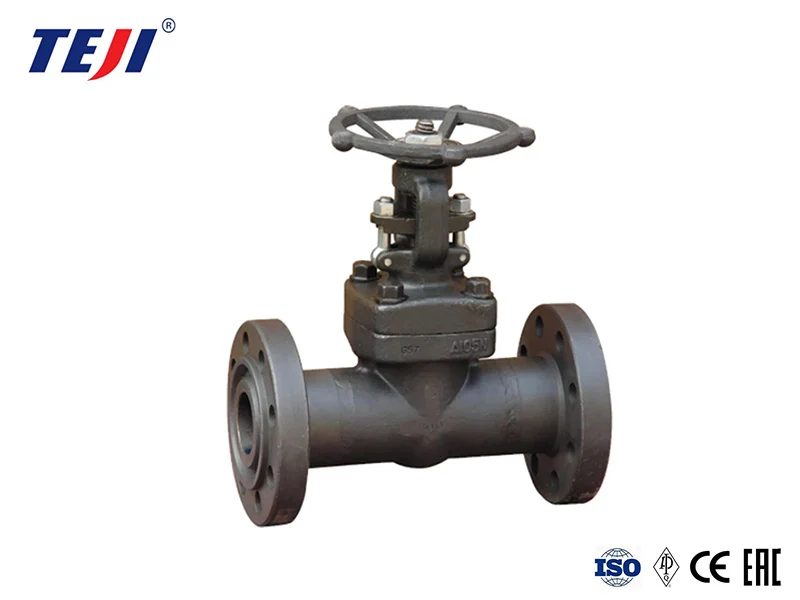 forged steel valves