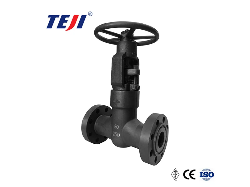forged steel valves