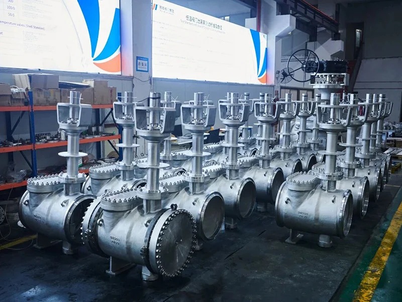 ultra low temperature valves from teji are unveiled adding a powerful tool to the indonesian lng hub project