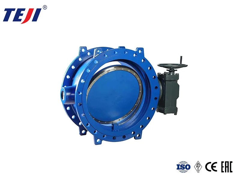 en double offset butterfly valve