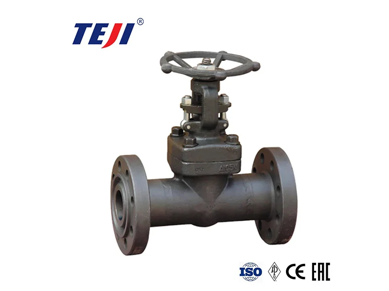 forged steel valves