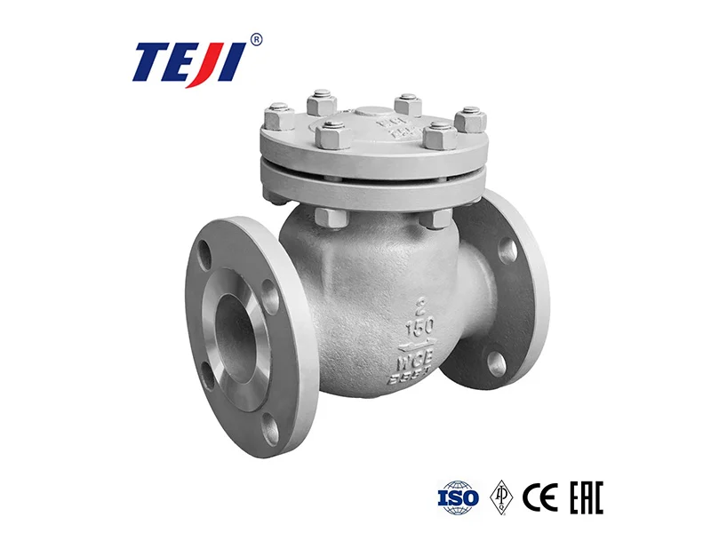 TEJI Check Valve Revealed
