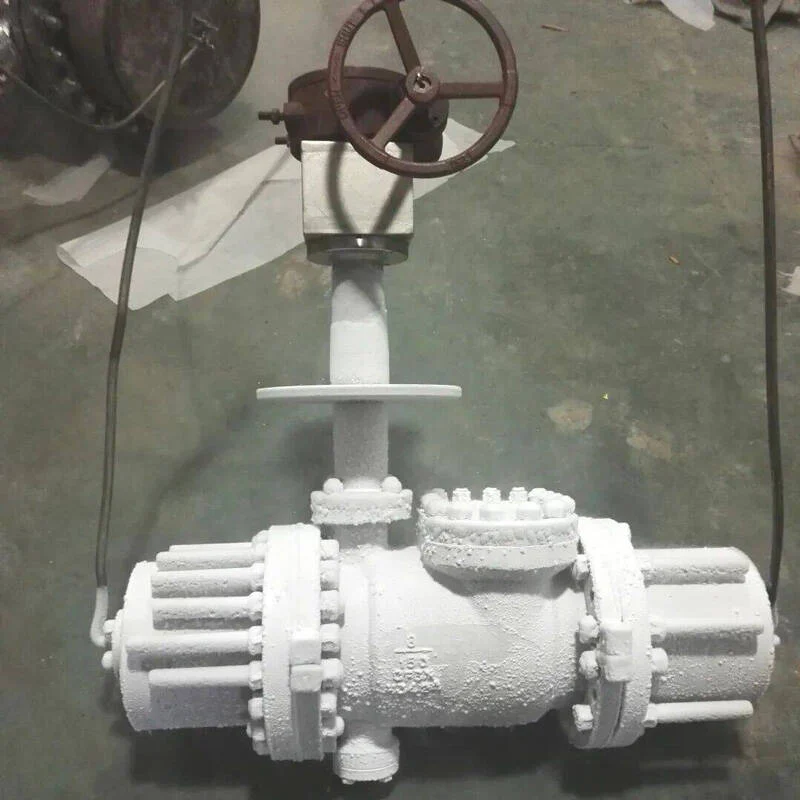 structural design of cryogenic online maintenance butterfly valves