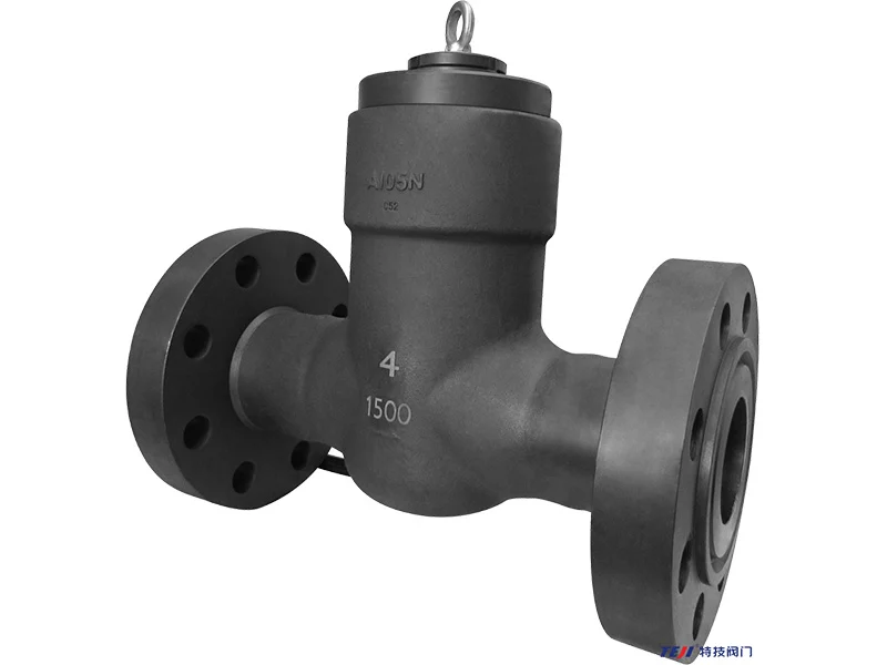 what is a check valve