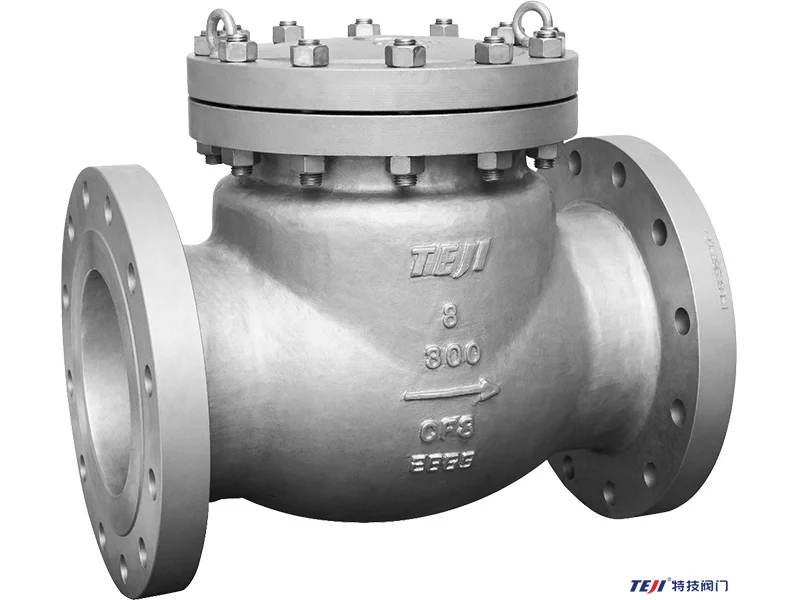 what is a check valve