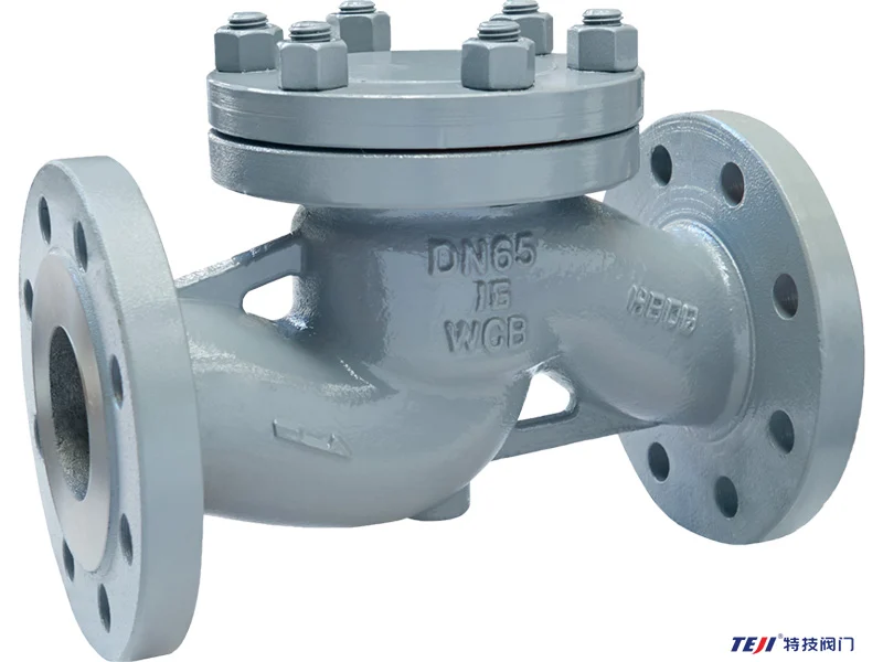 what is a check valve